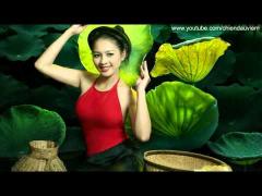 Liên khúc nhạc sống ĐÁM CƯỚI Việt Nam - Bằng lòng đi em